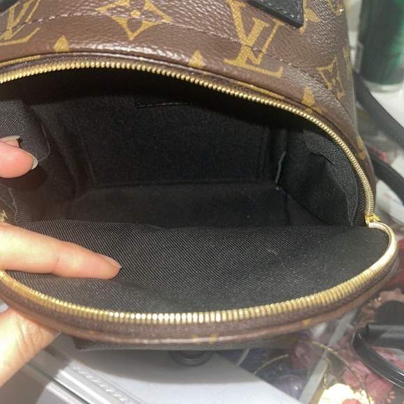 Louis Vuitton Palm Springs Mini - Picture 6 of 8